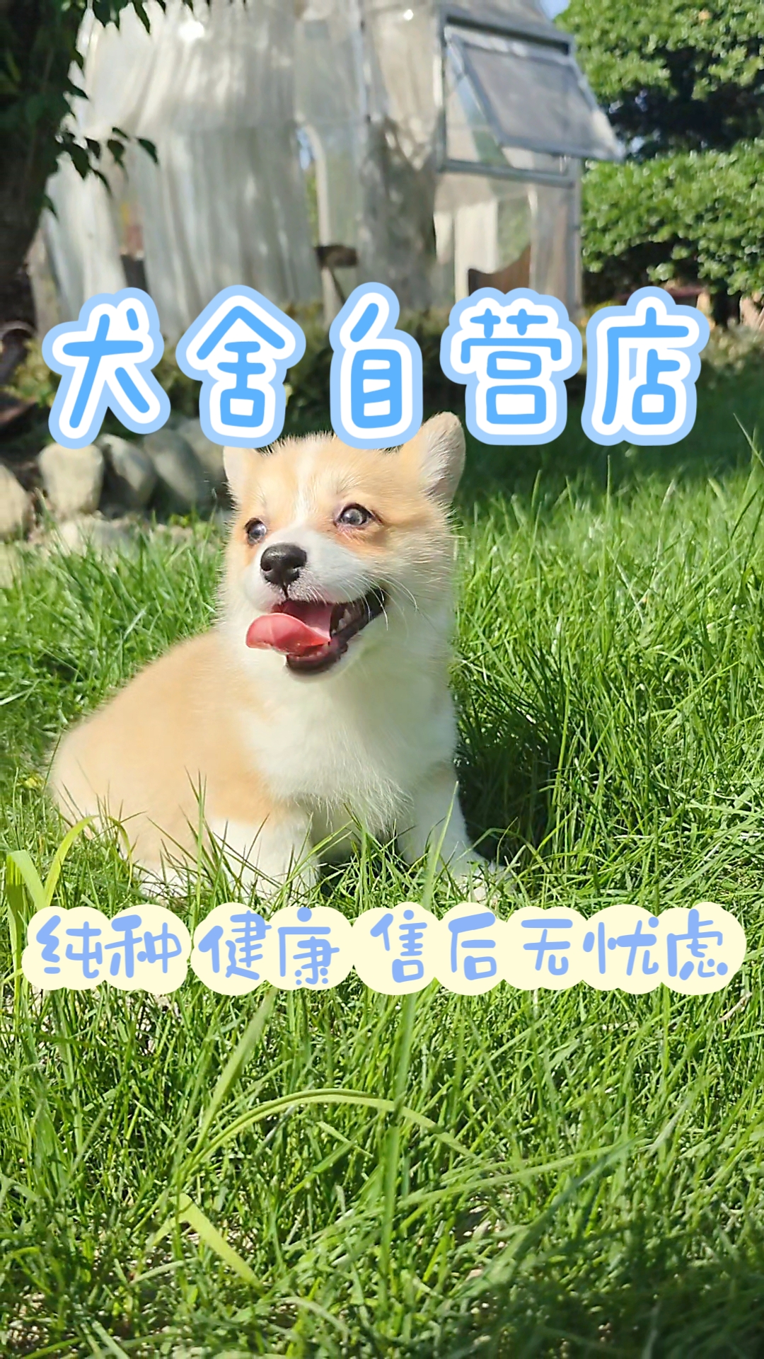 亲!私信了解一下呗!